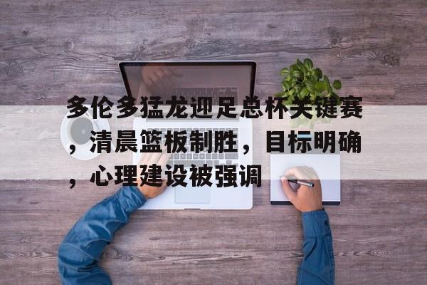 多伦多猛龙迎足总杯关键赛，清晨篮板制胜，目标明确，心理建设被强调的简单介绍-九游体育首页入口